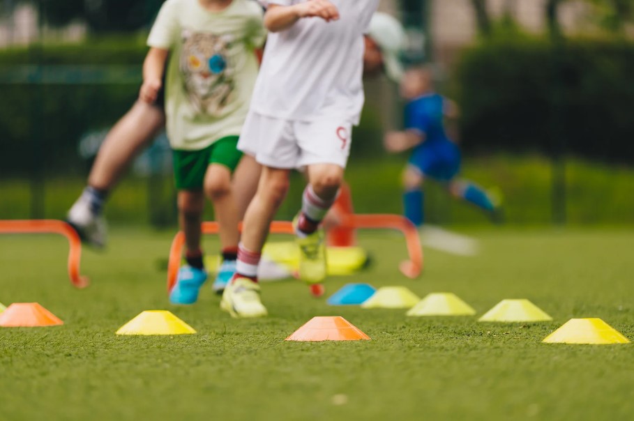פעילויות לחופש הגדול
